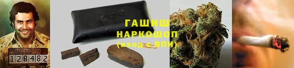 ГАЛЛЮЦИНОГЕННЫЕ ГРИБЫ Рославль