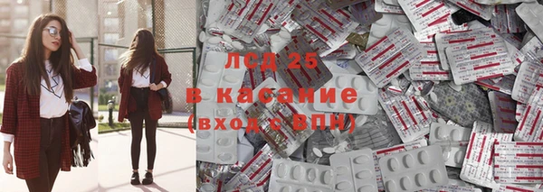 ГАЛЛЮЦИНОГЕННЫЕ ГРИБЫ Рославль