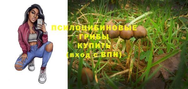mix Саяногорск