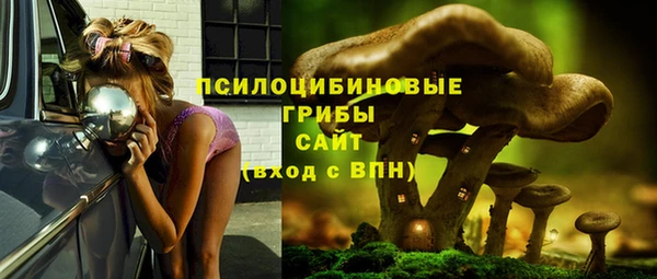 ГАЛЛЮЦИНОГЕННЫЕ ГРИБЫ Рославль