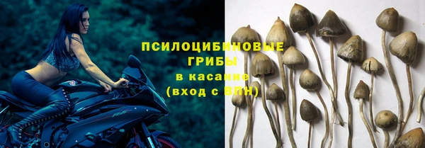 сатива Сафоново